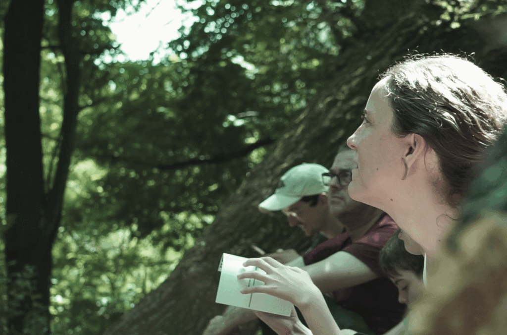 eina collserola public sphere.jpg